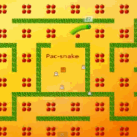 Snaky 360